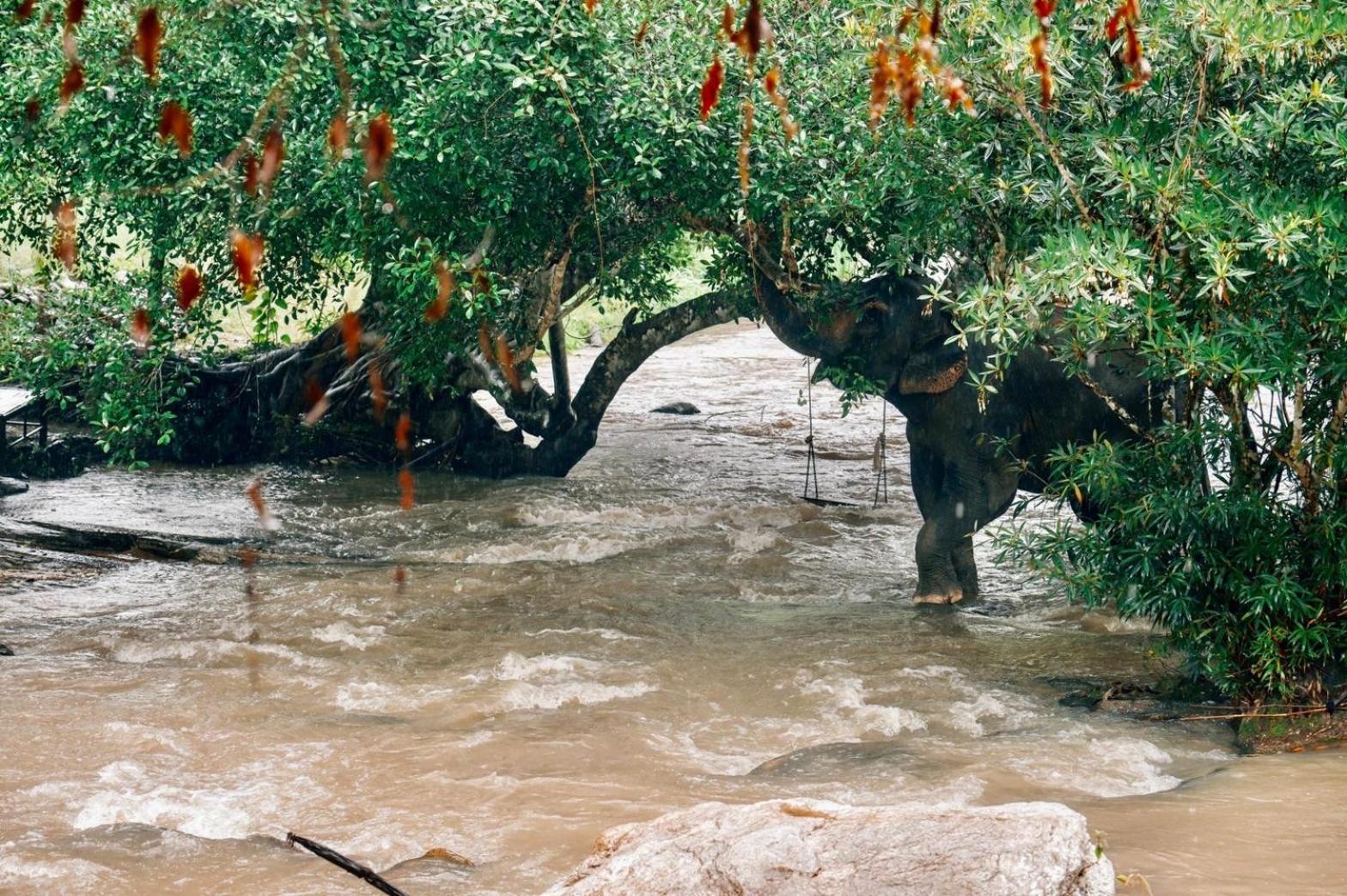 3Pok-Riverside Maewangjinxiang แม่วาง ภายนอก รูปภาพ
