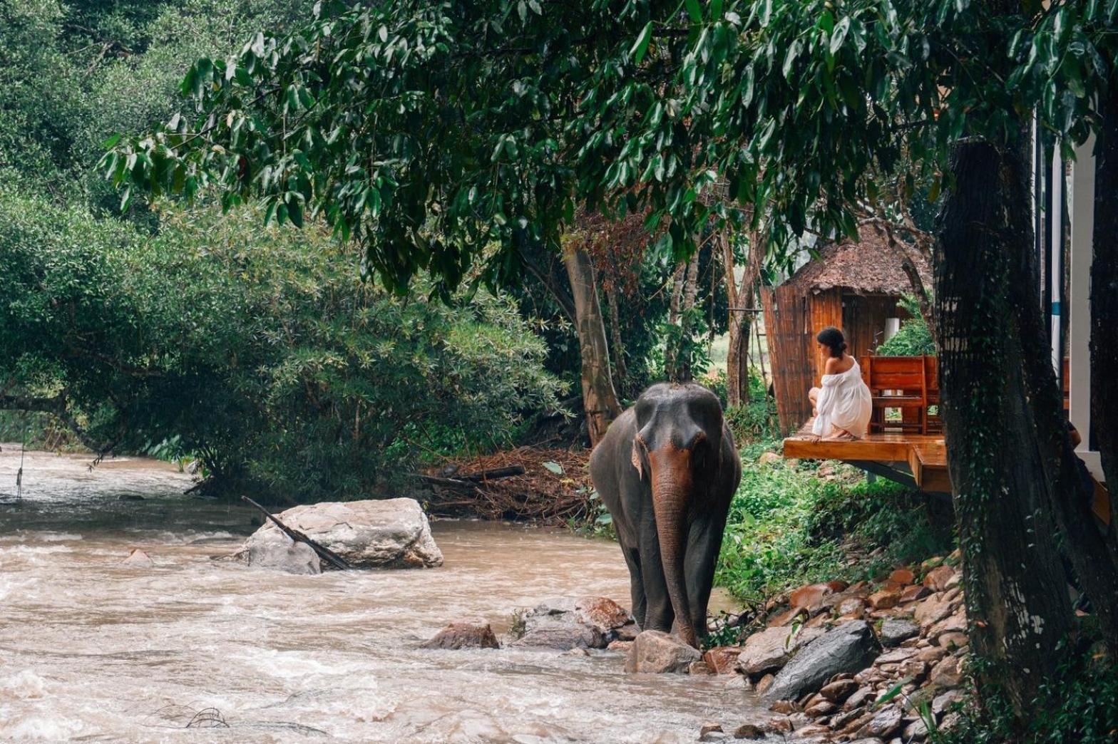 3Pok-Riverside Maewangjinxiang แม่วาง ภายนอก รูปภาพ